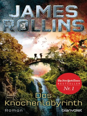 cover image of Das Knochenlabyrinth